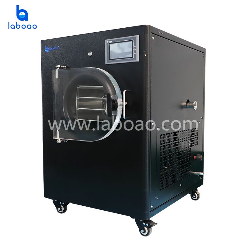 12Kg Small Home Use Freeze Dryer For Food China 12Kg Small Home Use