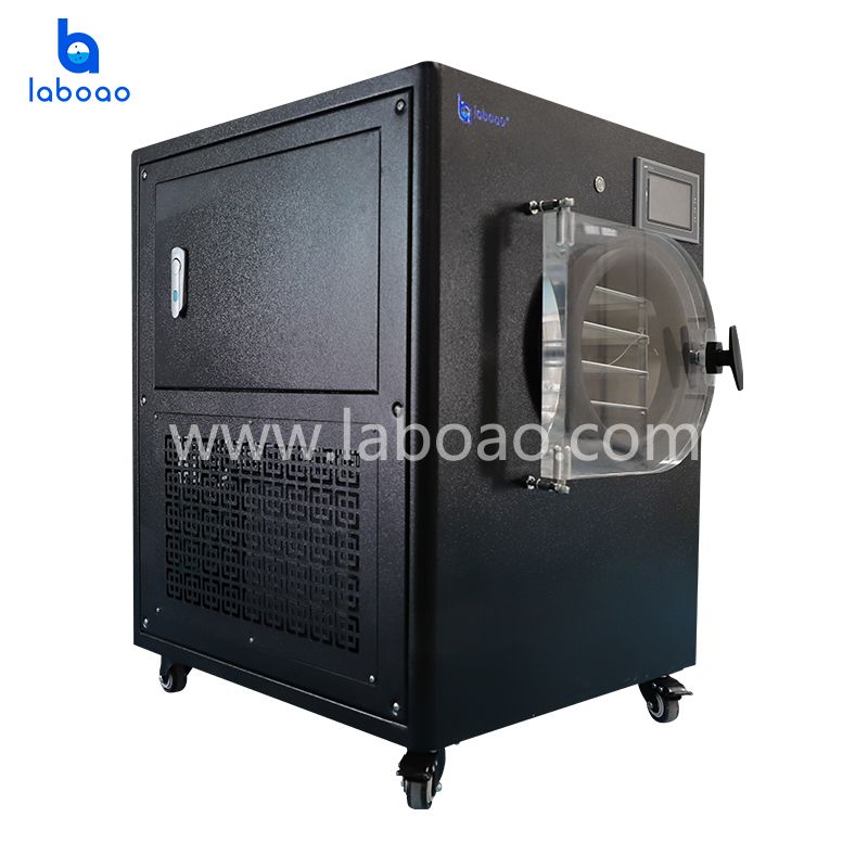 12Kg Small Home Use Freeze Dryer For Food China 12Kg Small Home Use