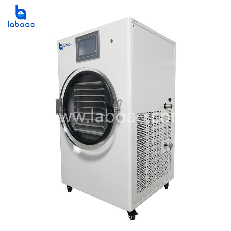 10-12kg Large Food Freeze Dryer