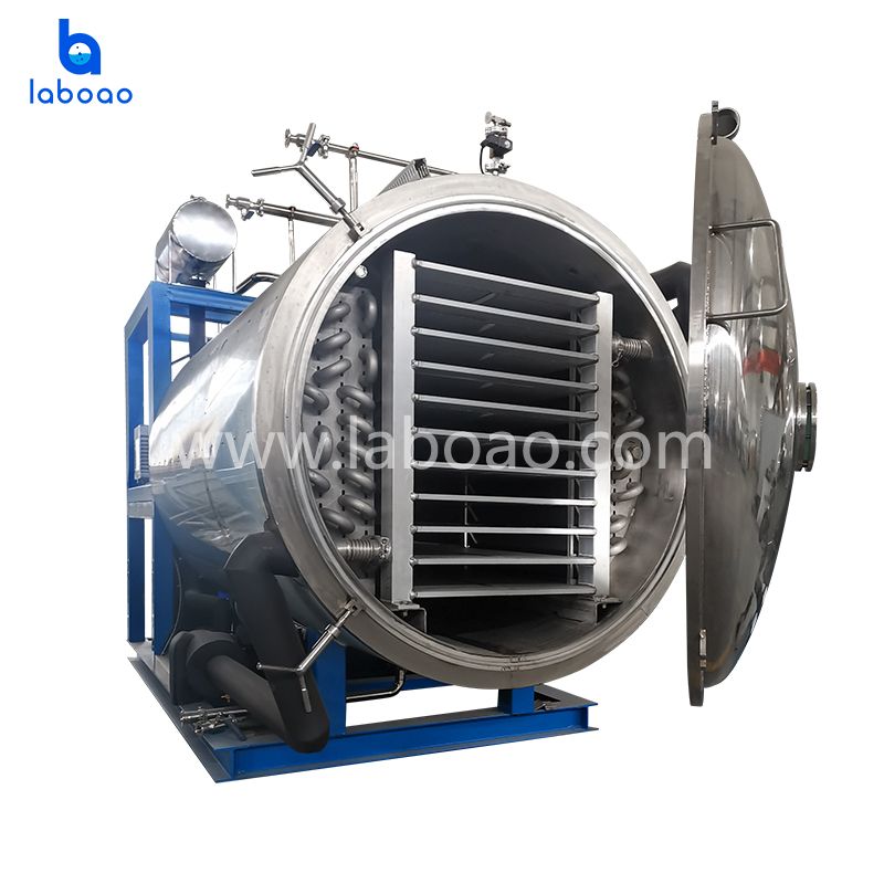 Industrial Freeze Drying Machine - Freeze Dryer