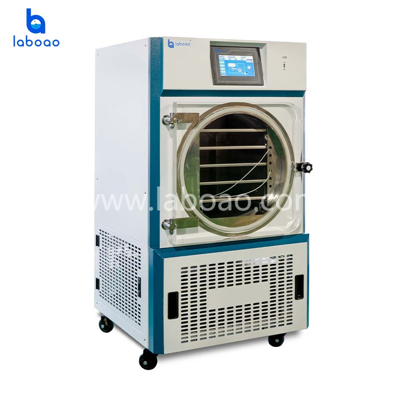 Buy Wholesale China Home Freeze Drying Machine Mini Freeze Dryer & Minitype  Food Vacuum Lyophilizer at USD 4400