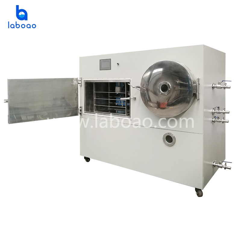 10kg Small Food Freeze Dryer Machine