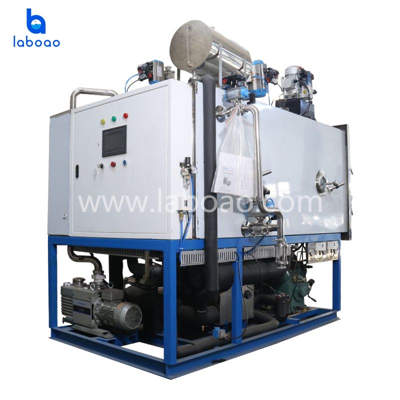 10kg Small Pharmaceutical Vacuum Freeze Dryer