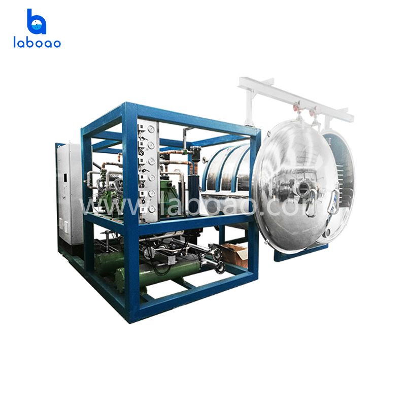 Food Freeze Dryer Vacuum Drying Machine for Vegetables Milk - China Vacuum Freeze  Dryer, Freeze Dryer