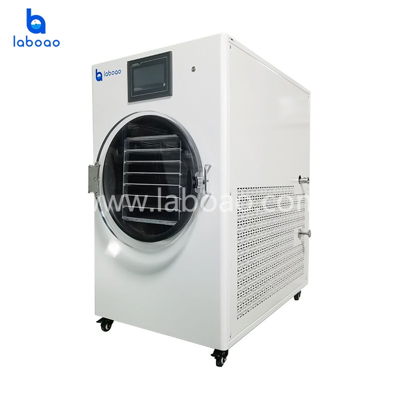 15kg Large Household Vacuum Freeze Dryer For Food