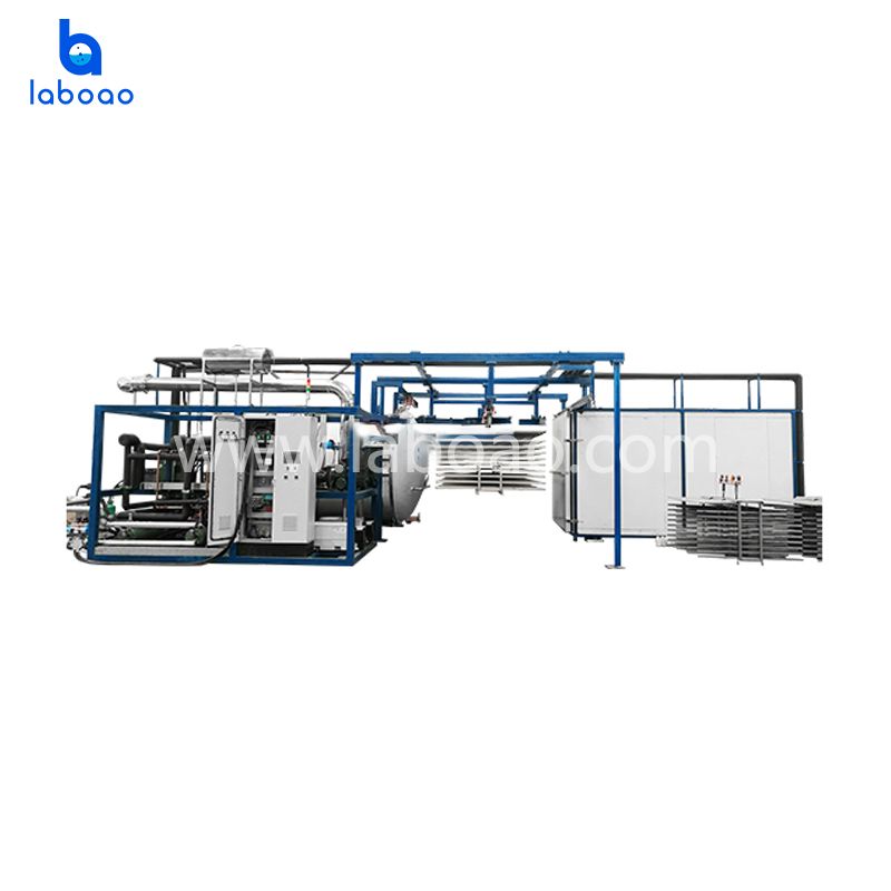 500kg Large Vacuum Freeze Dryer Machine For Fruits