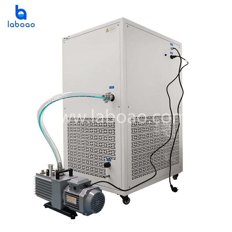 67kg Freeze Dryer Lyophilizer For Fruits And Vegetables China 67kg