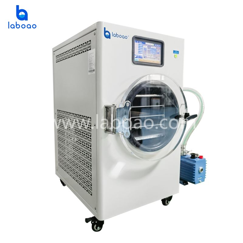 Fruits And Vegetables Vacuum Freeze Drying Machine Manufacturer