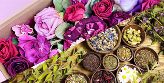 Application of Laboratory Freeze Dryer in Floral and Herbal Industry