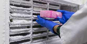 Application of 2°C~8°C Medical Refrigerator in Pharmaceutical and Biotechnology