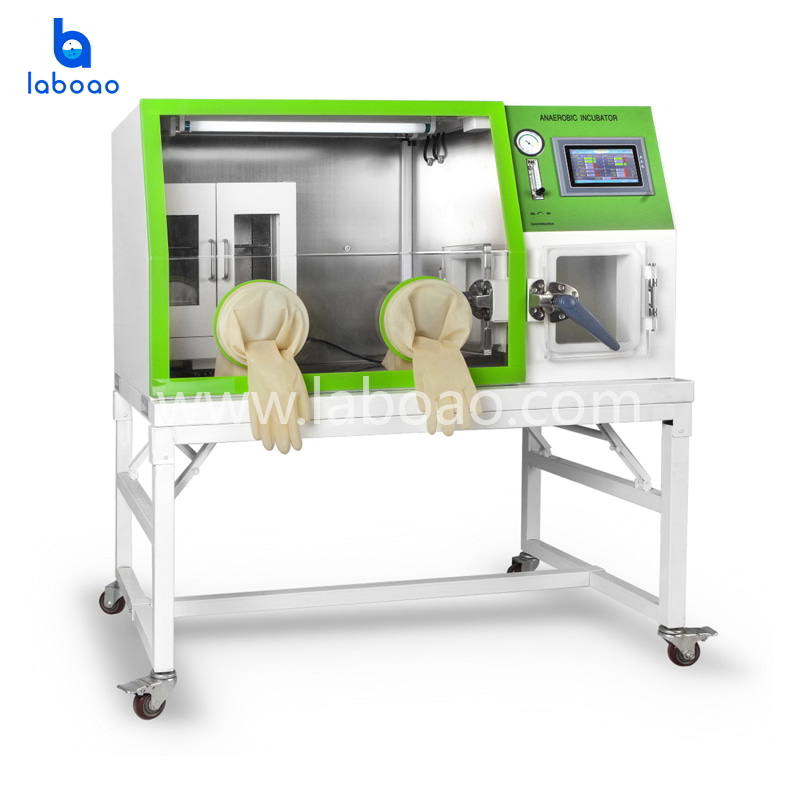 Anaerobic Incubator With Touch Screen