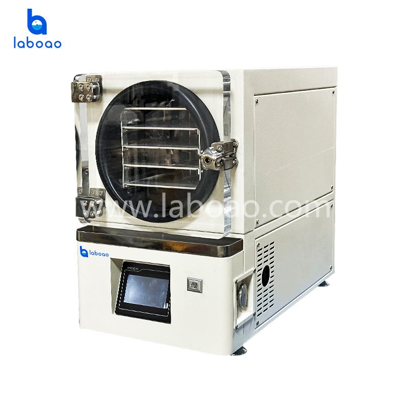 Benchtop Mini Vacuum Freeze Dryer With Built-in Vacumm Pump