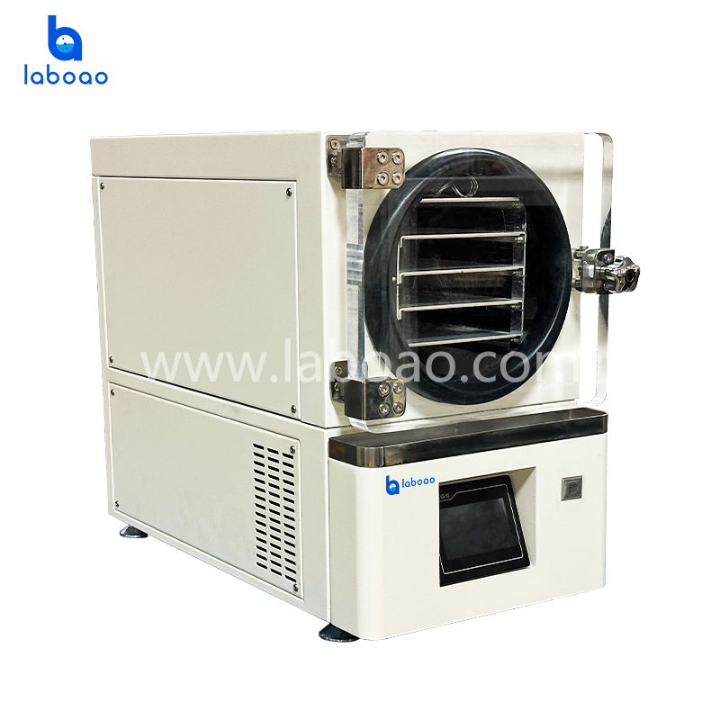 Benchtop Mini Vacuum Freeze Dryer With Built-in Vacumm Pump