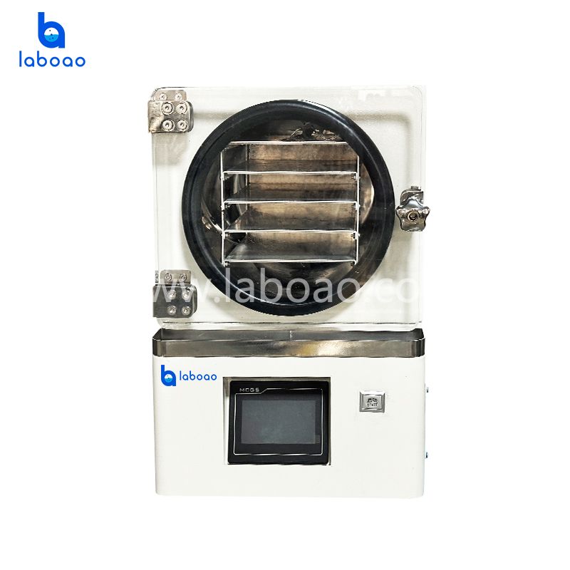 Benchtop Mini Vacuum Freeze Dryer With Built-in Vacumm Pump