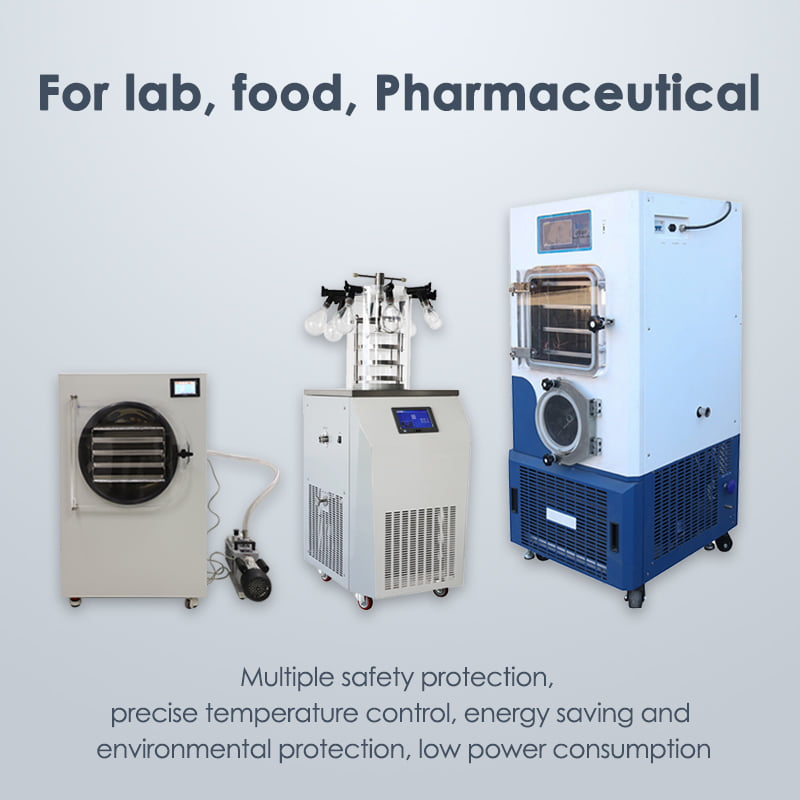 Lab Flash Freeze Drying Equipment Home Use Food Freeze Dryer with