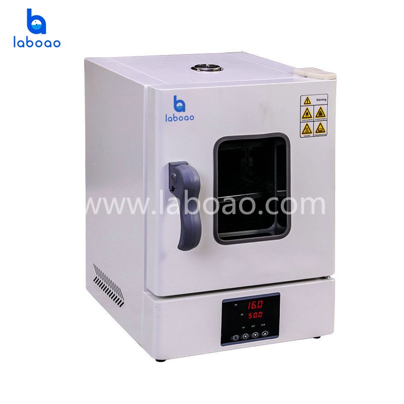 Chemical or Biology Laboratory Test Chamber Temperature Drying Oven - China  Incubator, Drying Machine