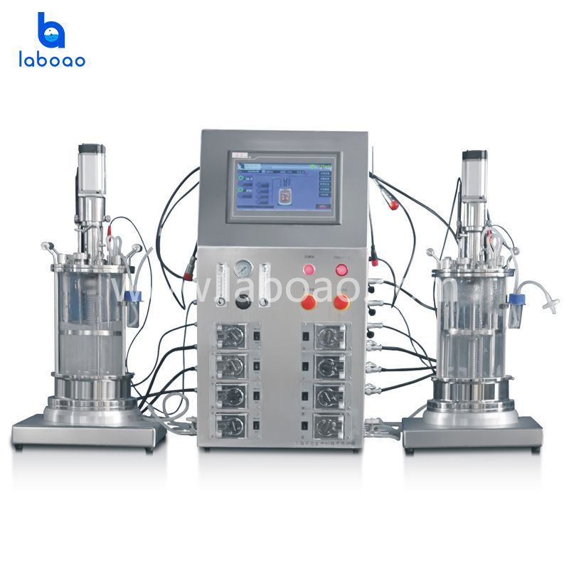 Desktop Two Conjoined Sterilization Glass Bioreactor Fermenter