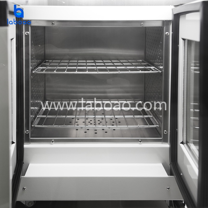 Double Door Lab Anaerobic Incubator With LCD Display