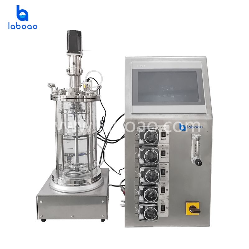 Jacketed Temperature Control Off-site Sterilization Glass Fermenter