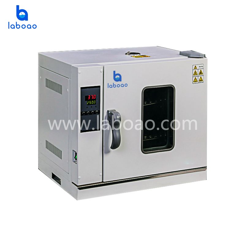 L202-D Series Electric Heating Constant Temperature Drying Oven