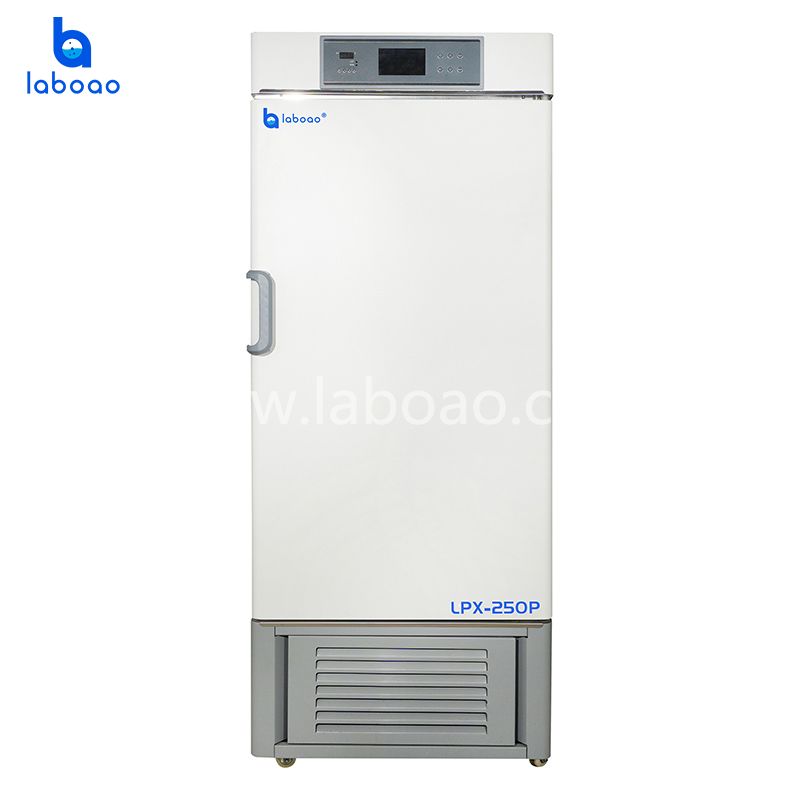 Laboratory Equipment Precision Biochemical Incubator