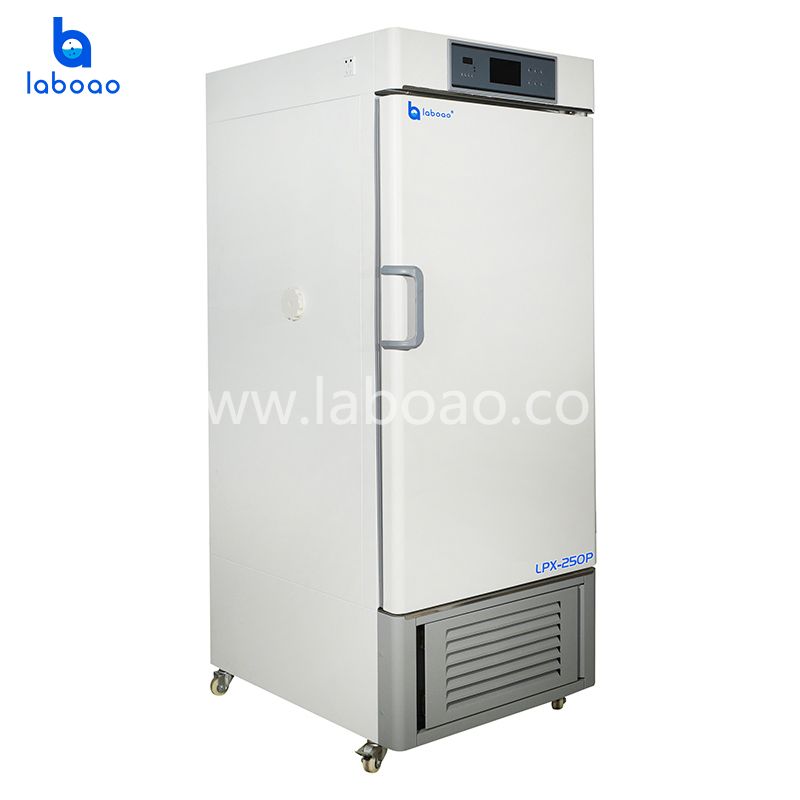 Laboratory Equipment Precision Biochemical Incubator