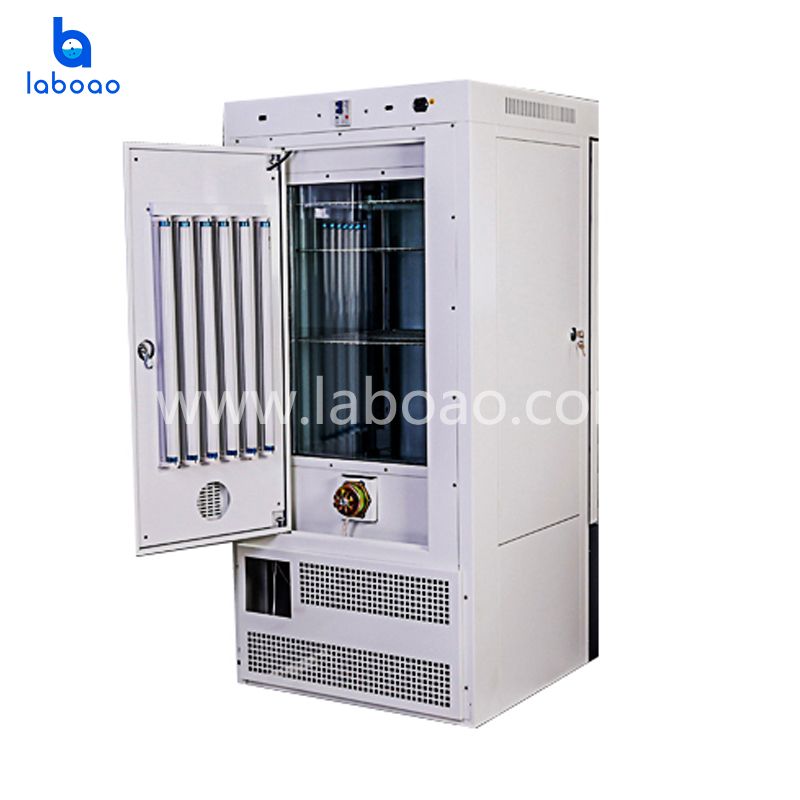 Light Incubator Machine For Laboratory