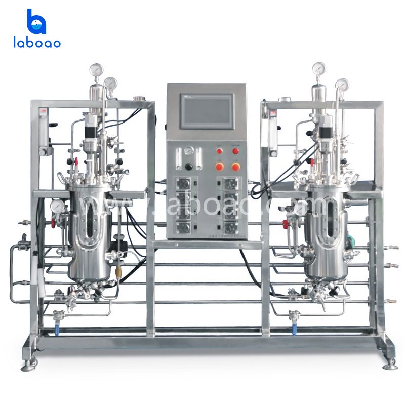 Multiple Stainless Steel Fermenter System