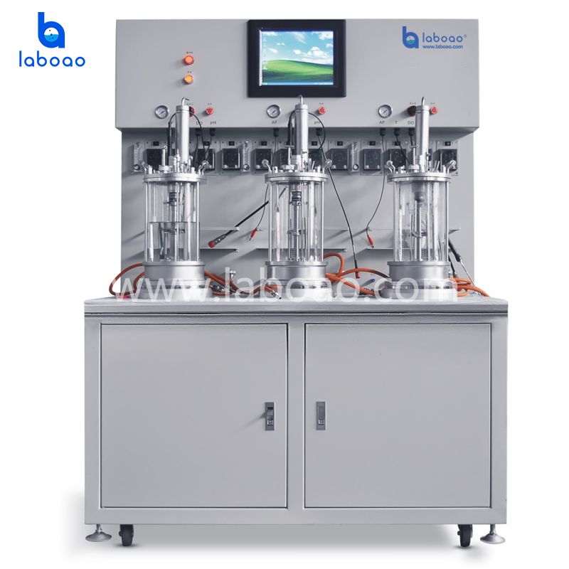 Off-site Sterilization Triple Quintuple Conjoined Glass Bioreactor