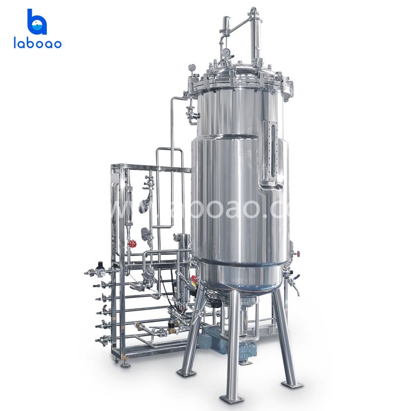 Under Mechanical Stirring Stainless Steel Bioreactors System