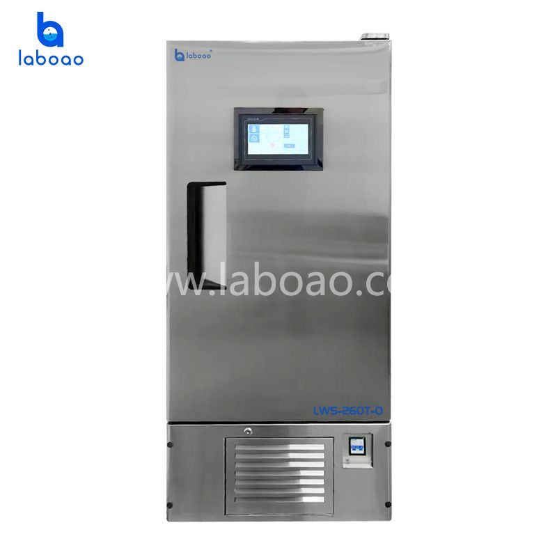 Stainless Steel Thermostatic And Humidity Incubator