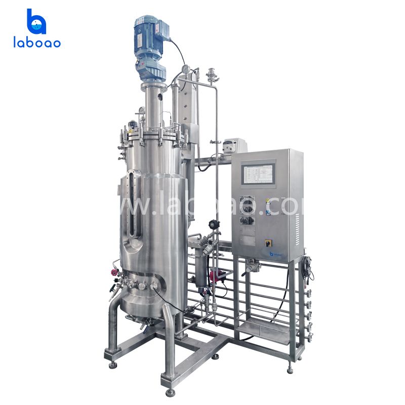 Stainless Steel Upper Mechanical Stirring Bioreactors