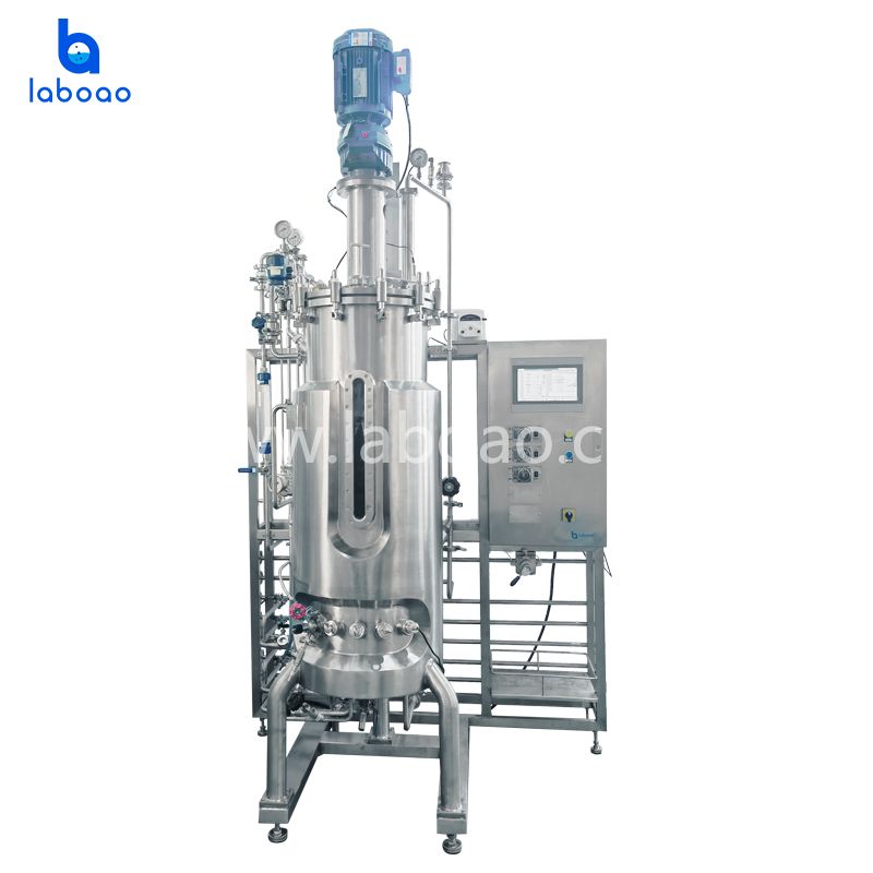 Stainless Steel Upper Mechanical Stirring Bioreactors