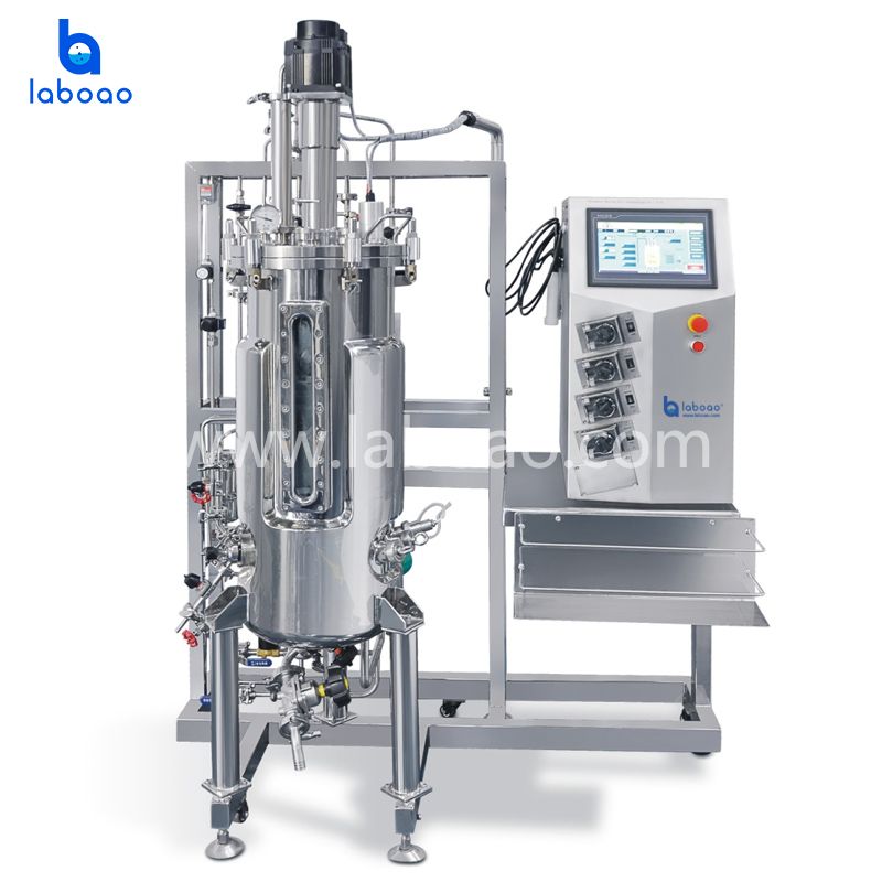 Stainless Steel Upper Mechanical Stirring Bioreactors