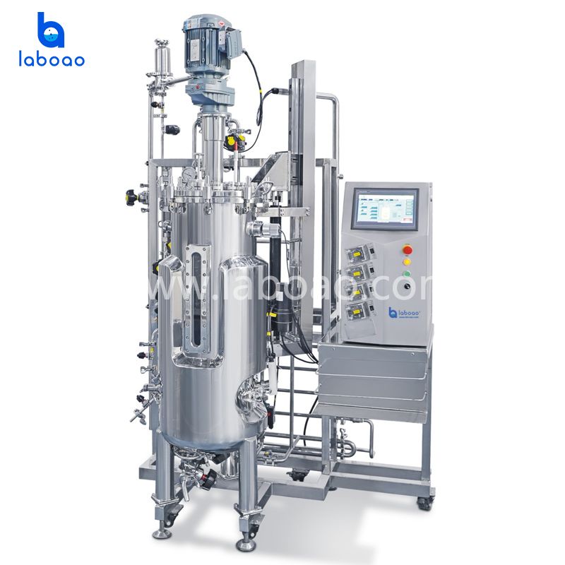 Stainless Steel Upper Mechanical Stirring Bioreactors