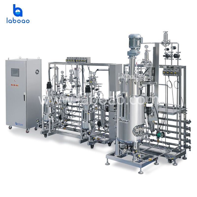 Tertiary Stainless Steel Fermentation System