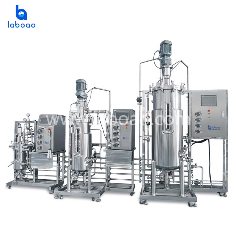 Tertiary Stainless Steel Fermentation System