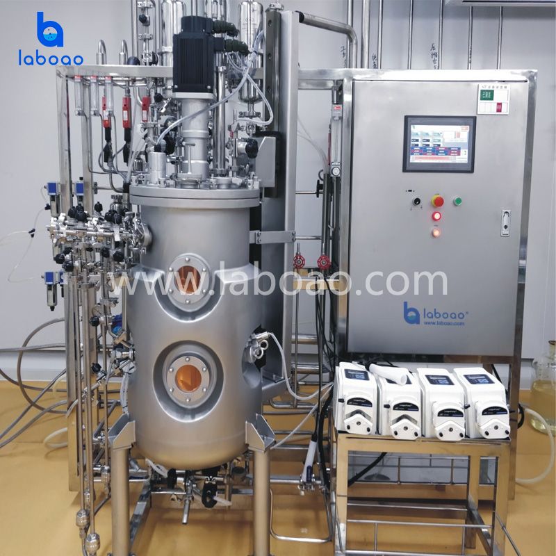 Top Magnetic Mixing Stainless Steel Bioreactors