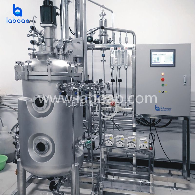 Top Magnetic Mixing Stainless Steel Bioreactors