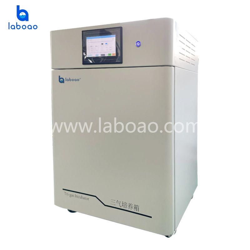 Tri-gas Incubator CO2 O2 N2 Incubator