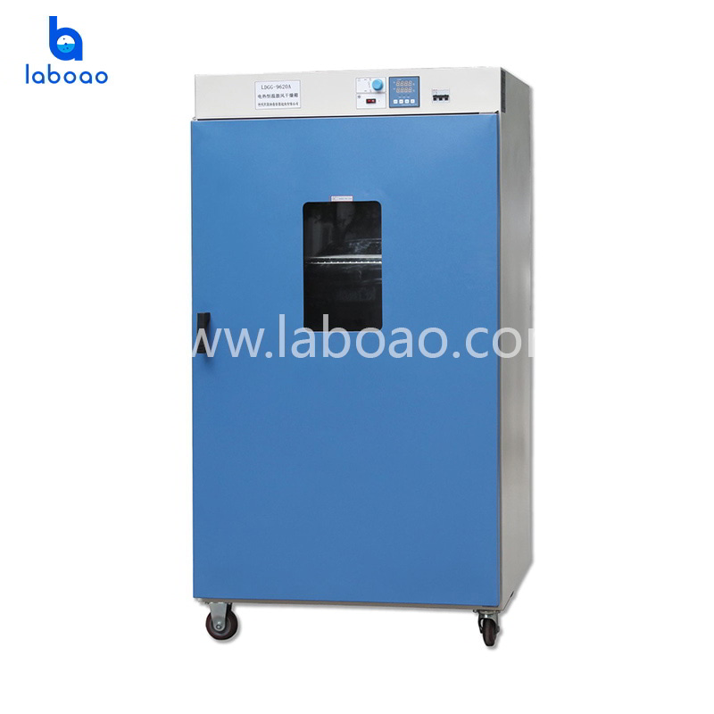 Chemical or Biology Laboratory Test Chamber Temperature Drying Oven - China  Incubator, Drying Machine